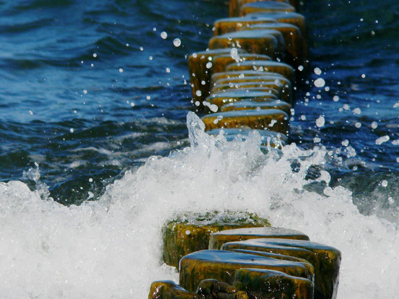 Von Wasser umspülte Buhnen auf Hiddensee - Foto: Horst Rippel